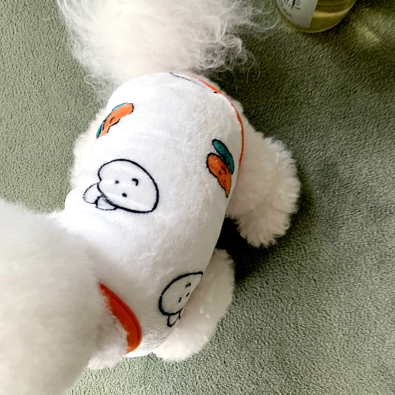 小さな犬のウサギのパターンのベスト,柔らかな肌触りの服,オー - Winter Clothing Patterns のレビューと価格