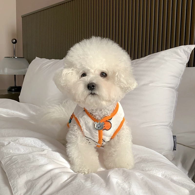小さな犬のウサギのパターンのベスト,柔らかな肌触りの服,オー - Winter Clothing Patterns のレビューと価格